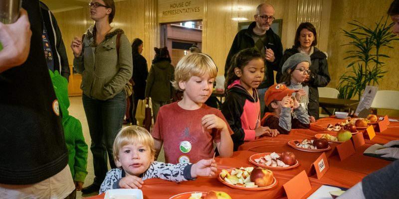 Kids eating apples