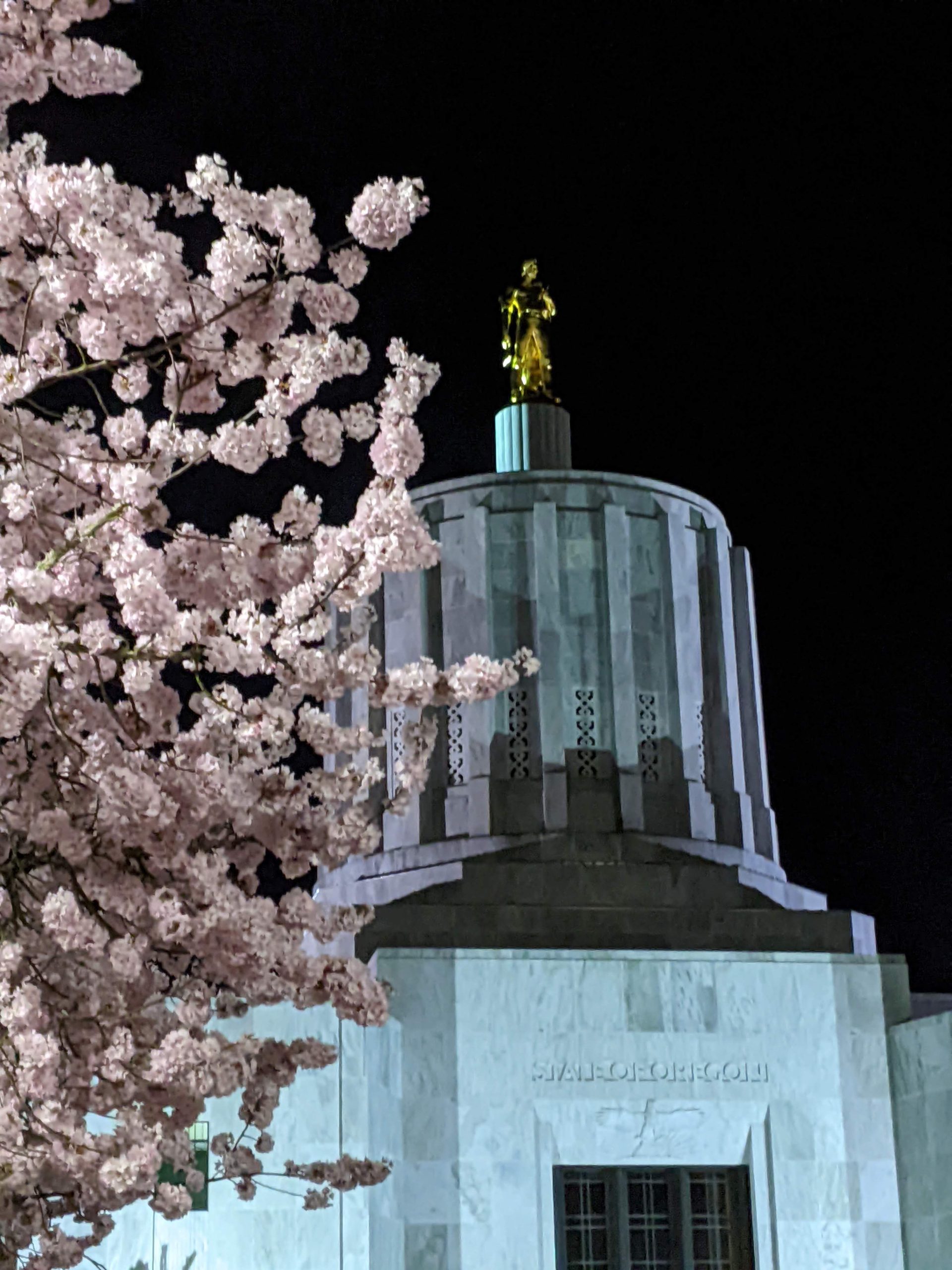 Oregon Pioneer at night with cherry blossom tree