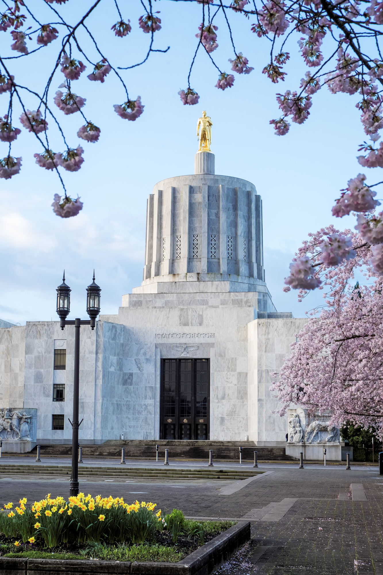 Gold Man nestled with Cherry Blossom Trees