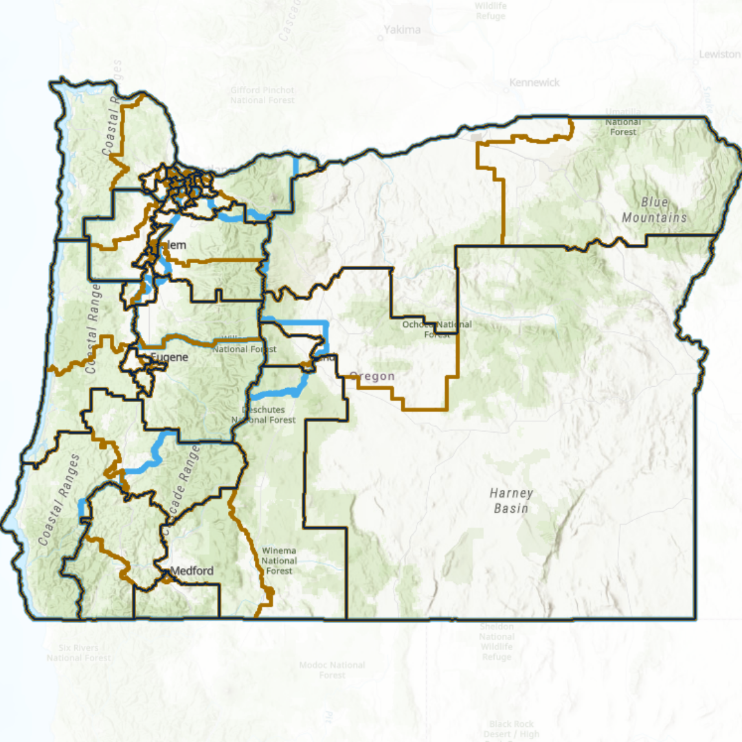 Map of Oregon divided into house and senate districts