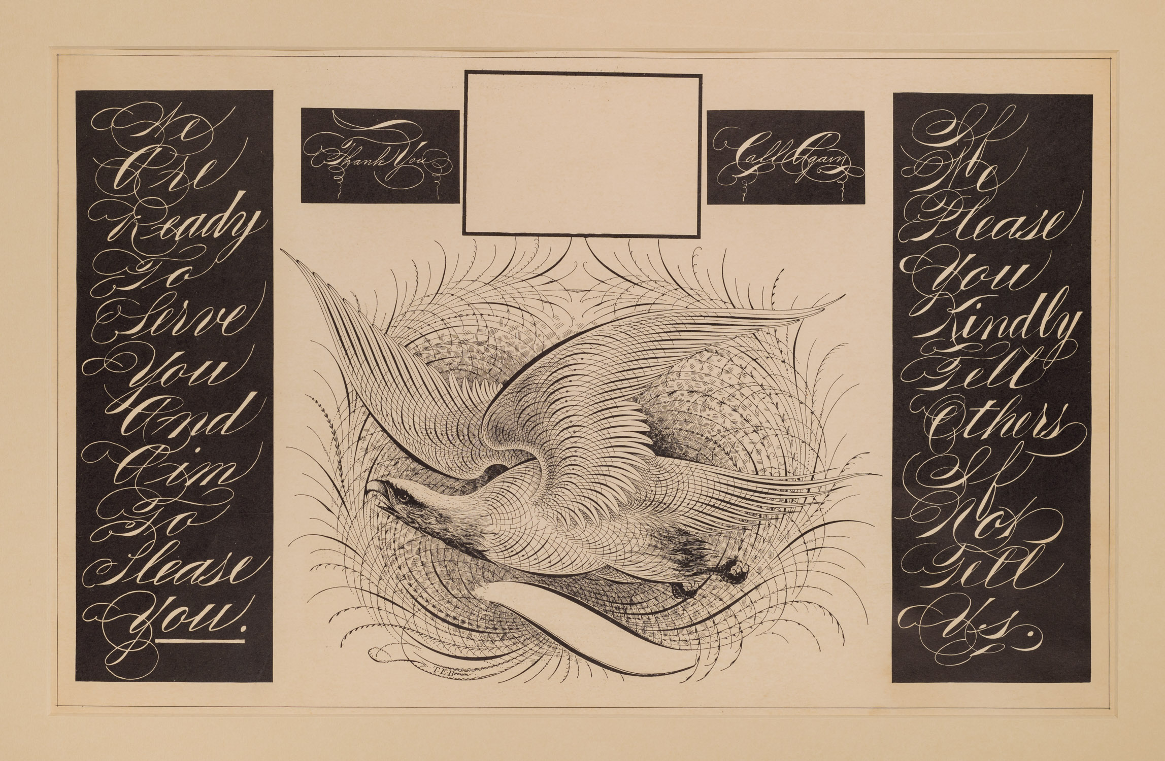 A hand scripted dove with calligraphy surrounding it